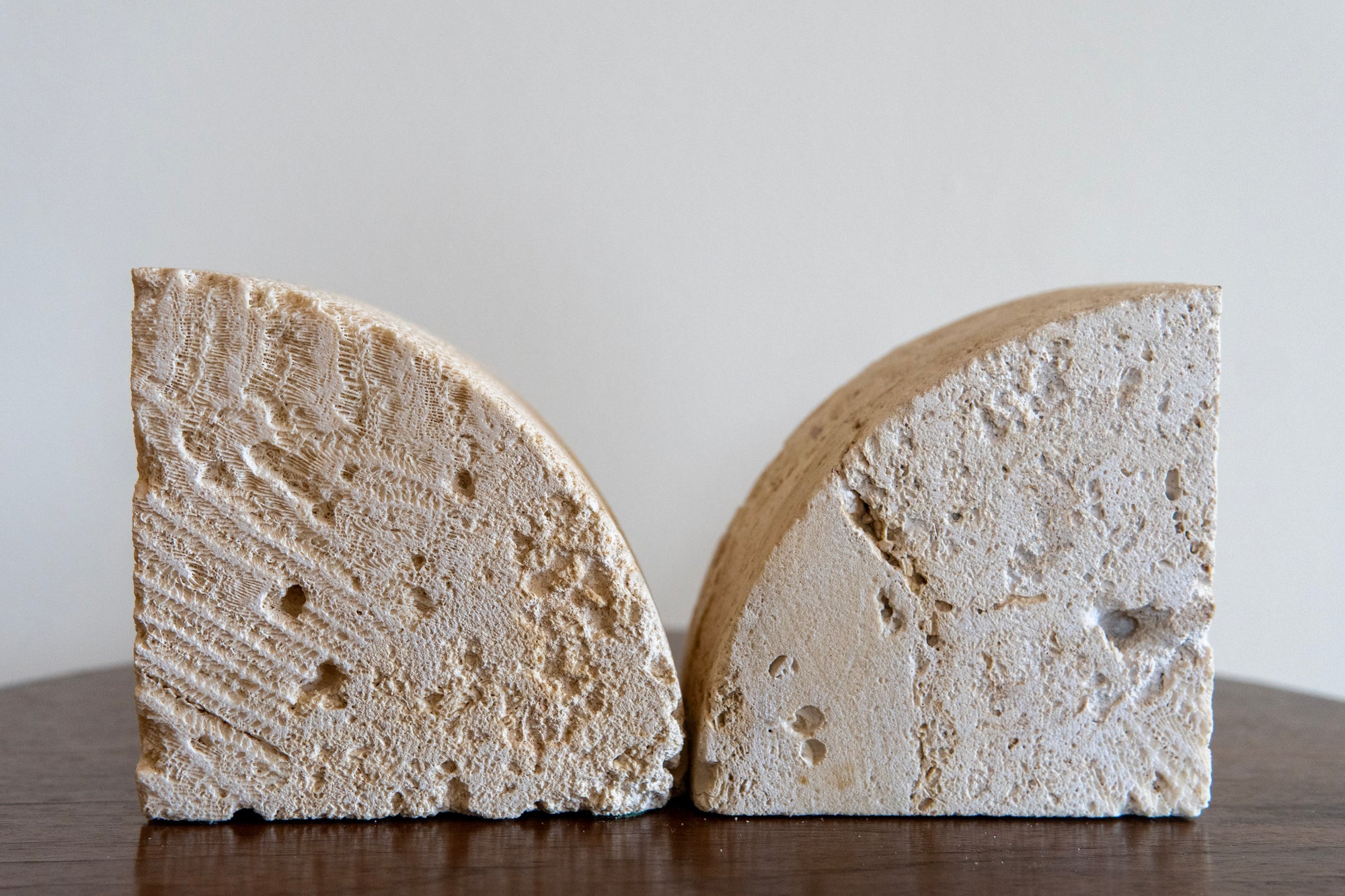 Fossilized Coral Limestone Bookends (Set)
