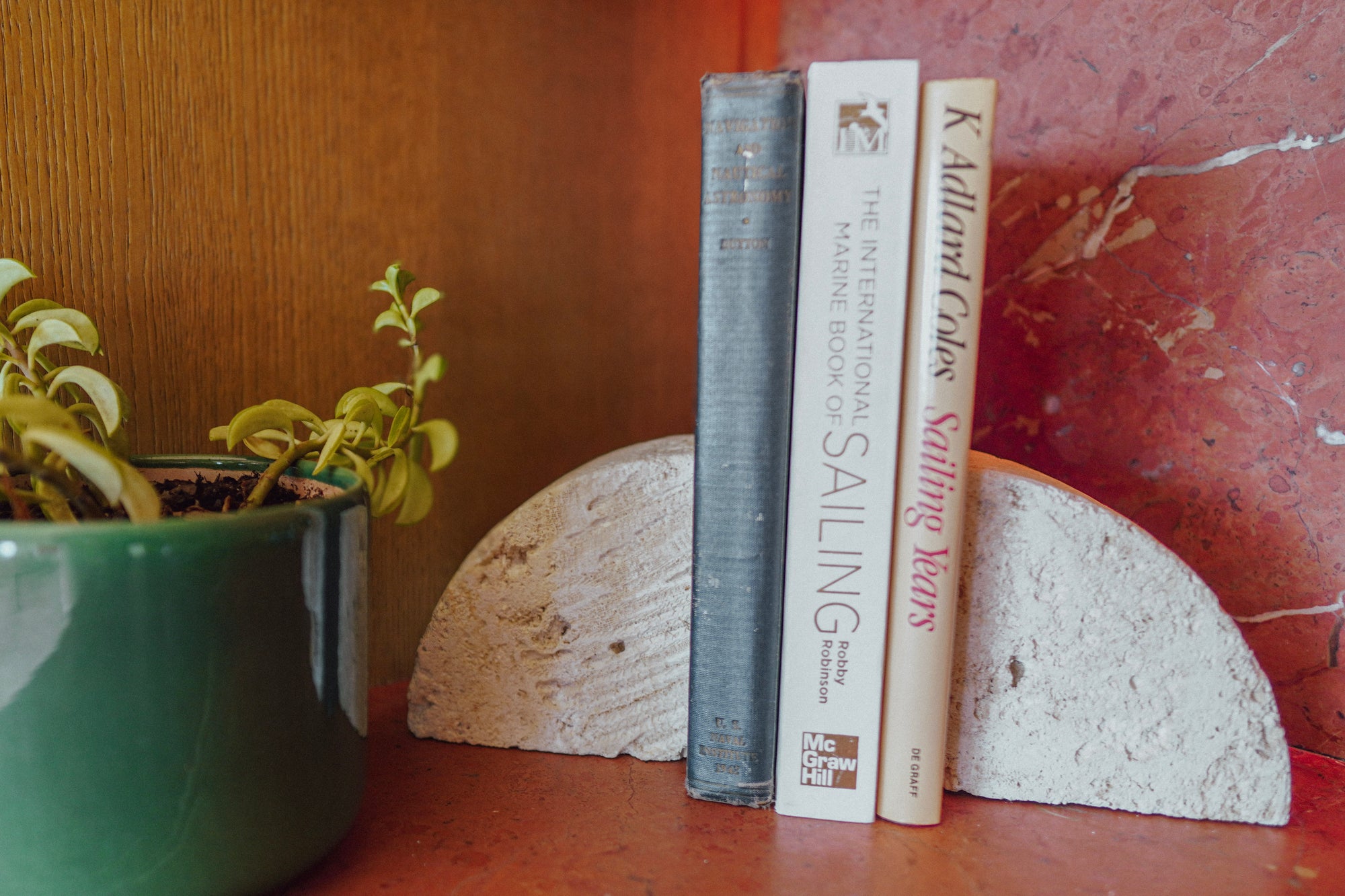 Fossilized Coral Limestone Bookends (Set)