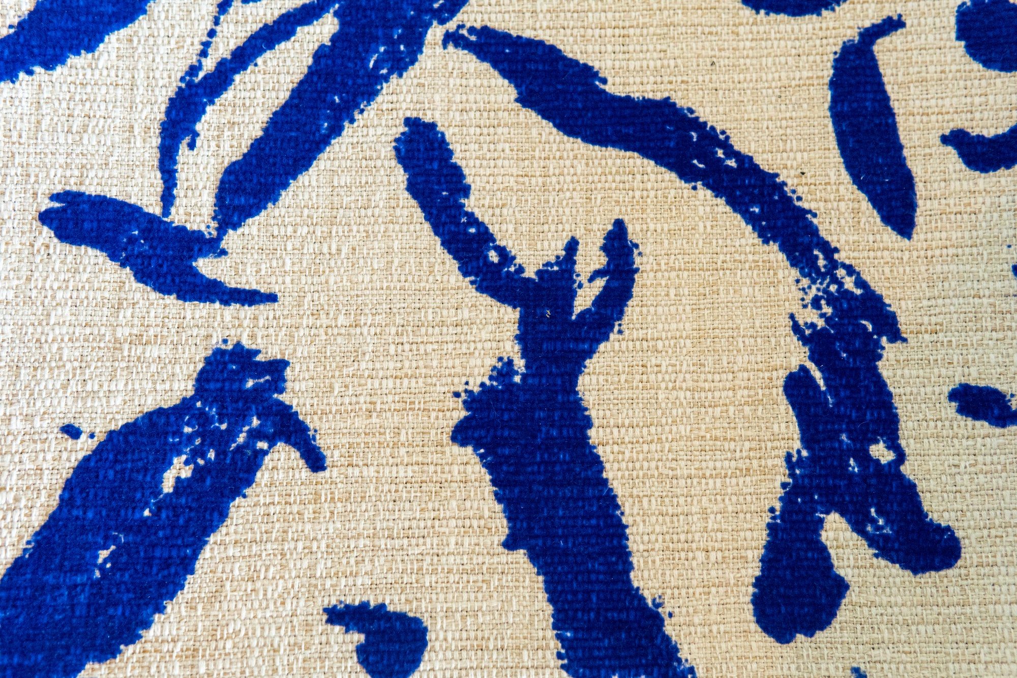 McGuire Director's X-Chair: Cobalto