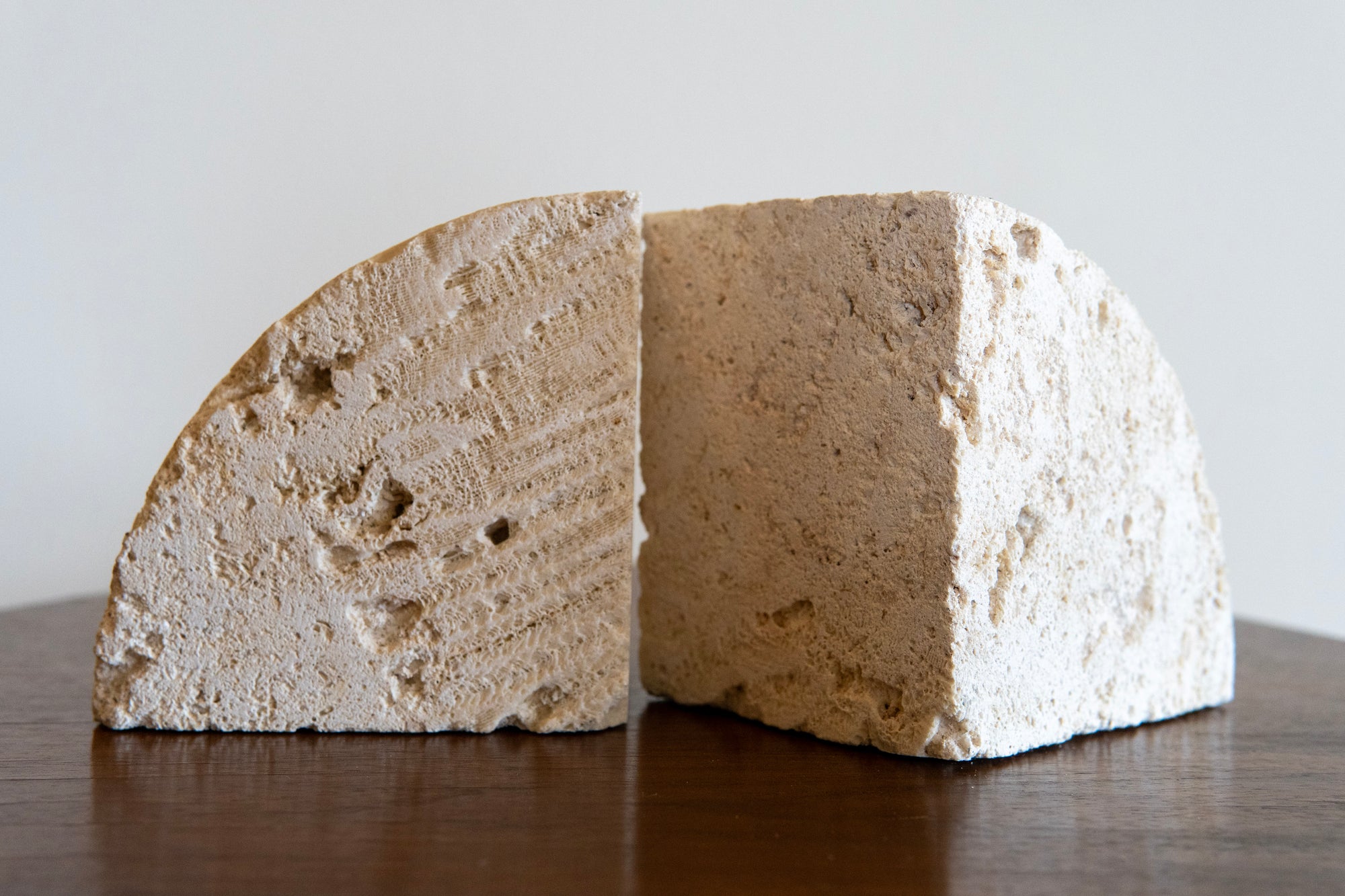 Fossilized Coral Limestone Bookends (Set)