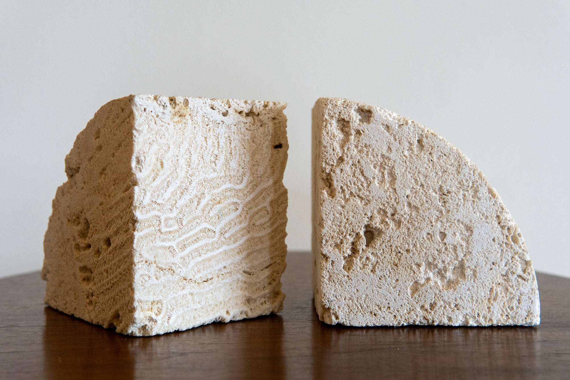 Fossilized Coral Limestone Bookends (Set)