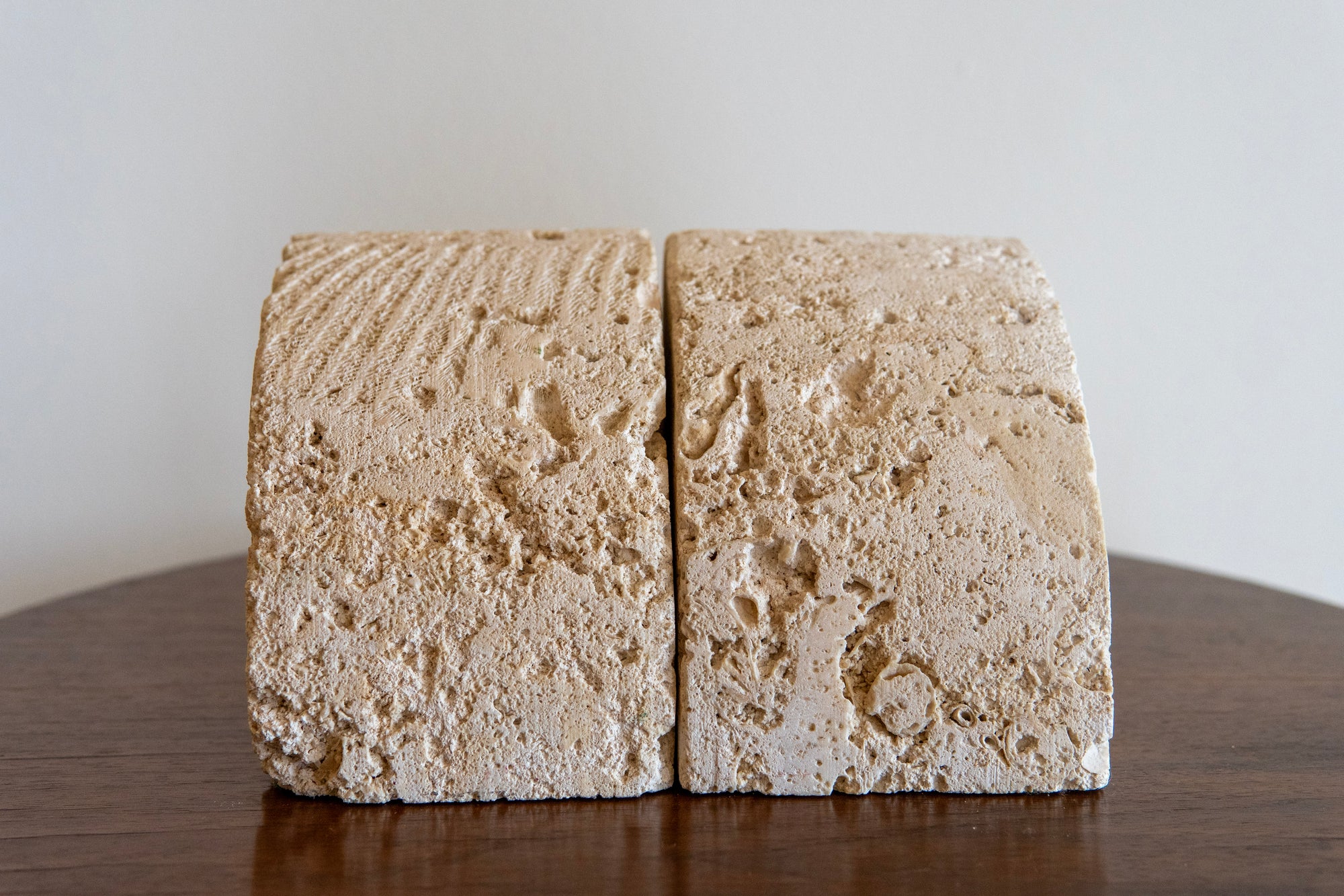 Fossilized Coral Limestone Bookends (Set)