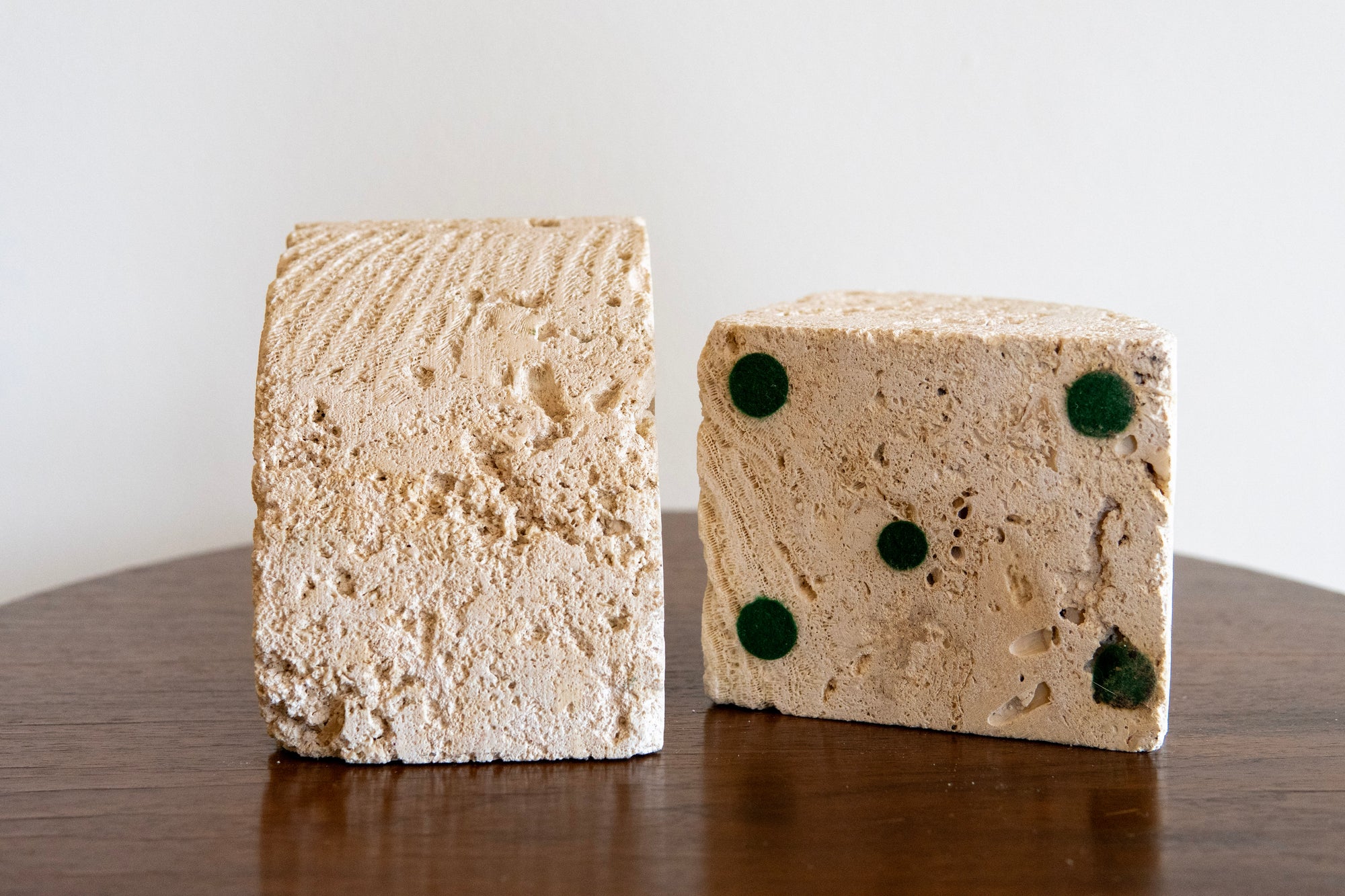 Fossilized Coral Limestone Bookends (Set)